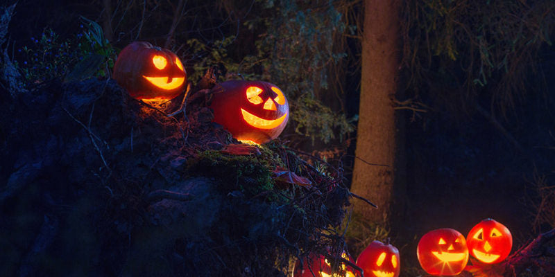 Scary monsters – decorating shop window in style